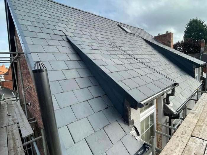 Roof Cleaning (1)